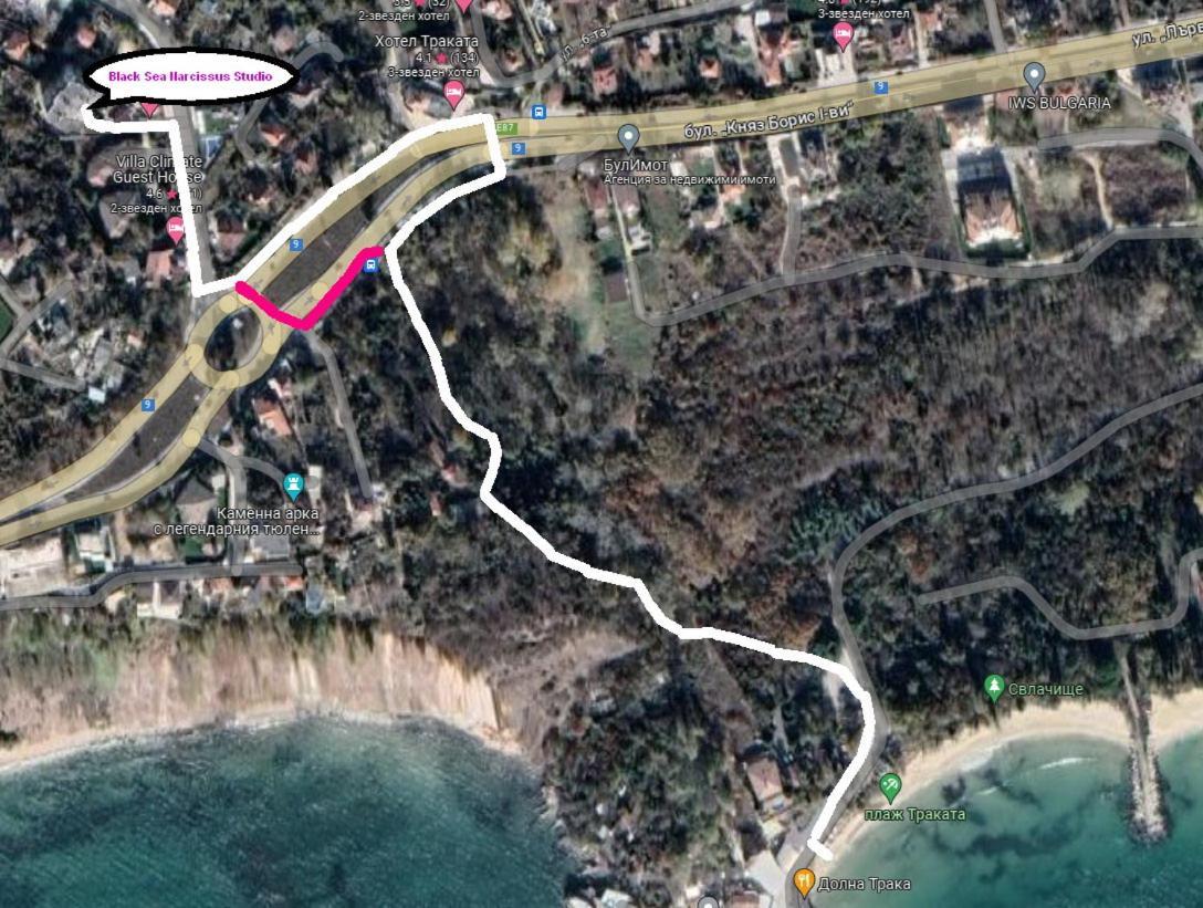 Black Sea Narcissus - Quiet Studio With Amazing Sea View Warna Zewnętrze zdjęcie